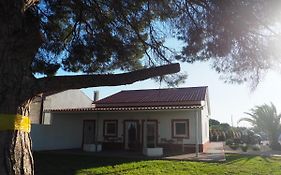 Casa Das Pipas #6